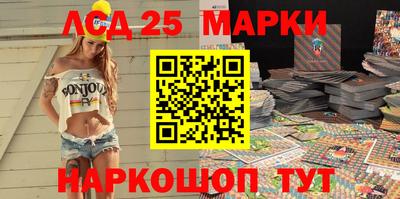 СК Гатчина