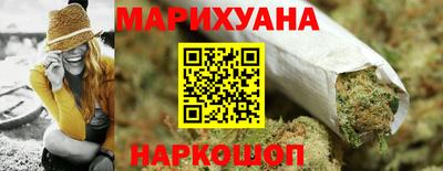 СК Гатчина