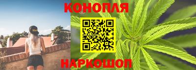СК Гатчина