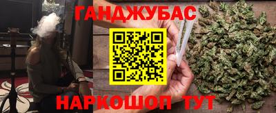СК Гатчина