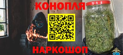 гидропоника Гагарин