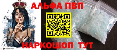 СК Гатчина