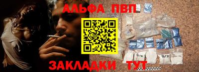 СК Гатчина