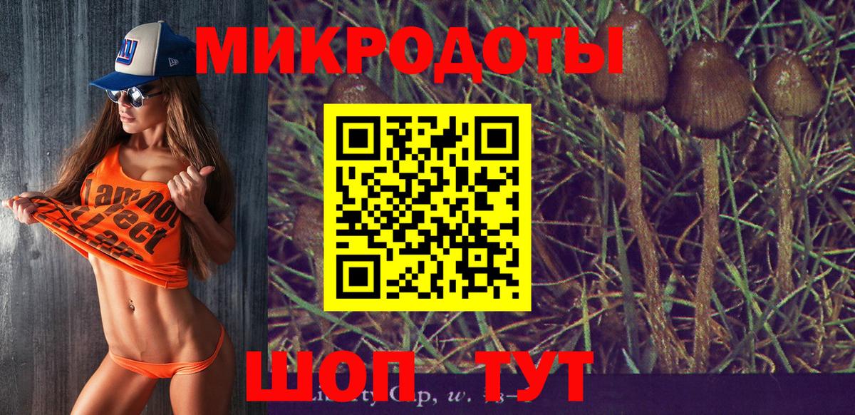 Псилоцибиновые грибы Psilocybe  Вход с VPN  цены   Сосновоборск 